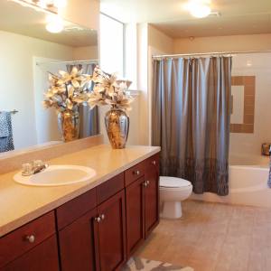 Large bathroom of Block 24 model home, single vanity sink and deep soaking tub and shower