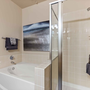 standalone shower and soaker tub
