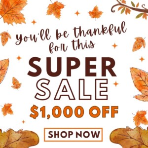 $1000 OFF