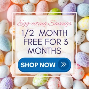 1/2 off for 3 months